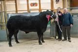 Reserve Champion_-2